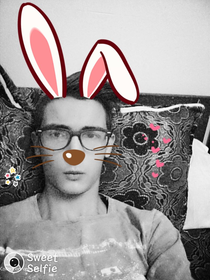 olvator2901 olvator2901